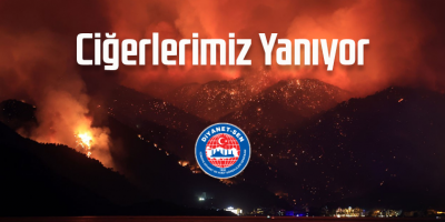 Ciğerlerimiz Yanıyor